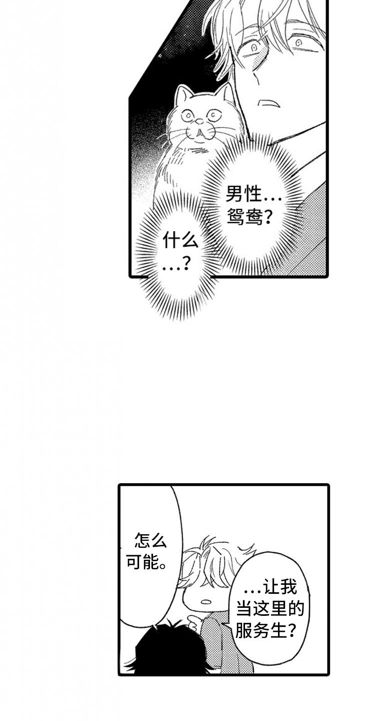 第2章：还债手段