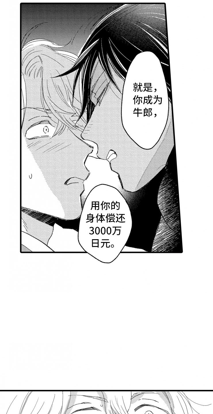 第2章：还债手段