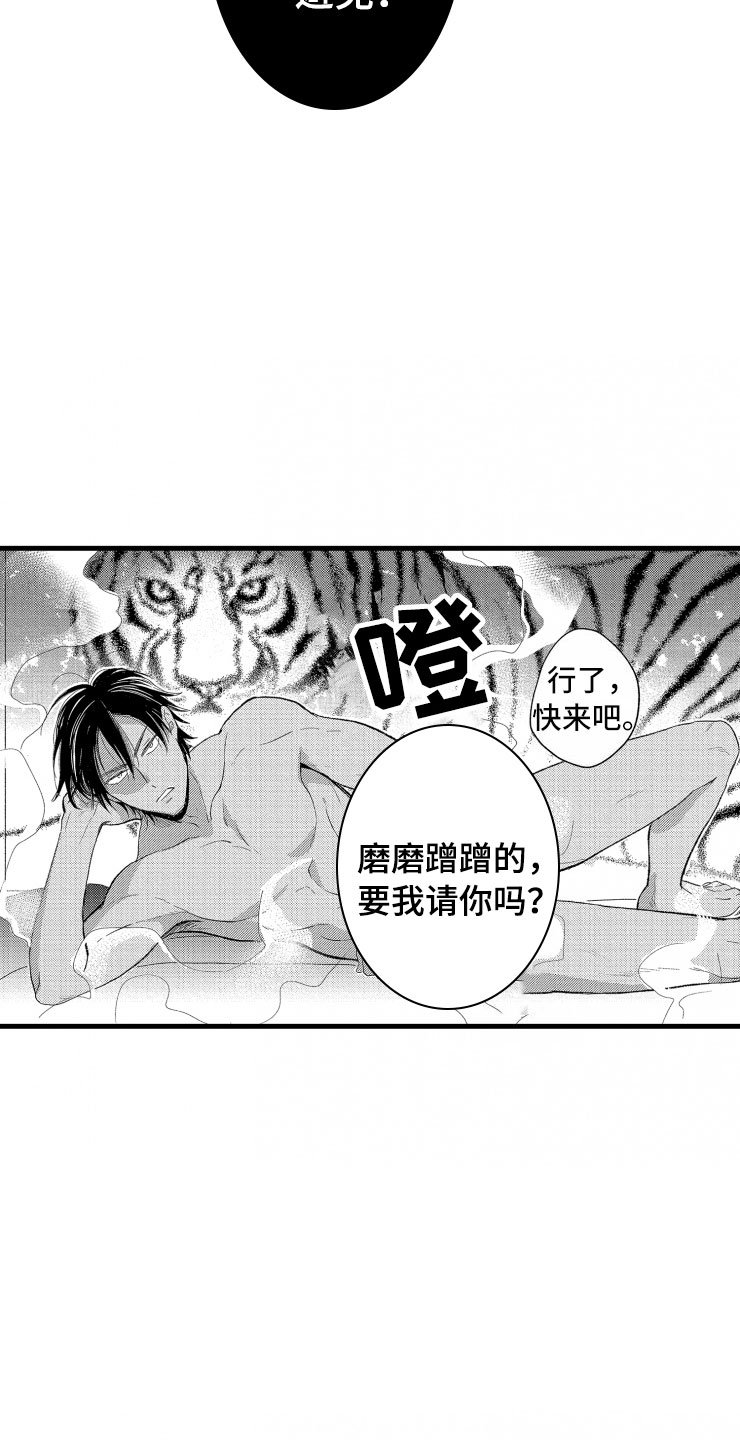 第6章：老虎一样