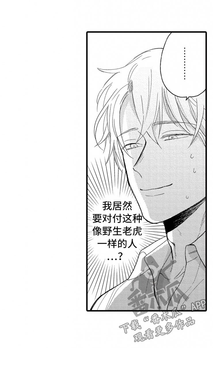 第6章：老虎一样