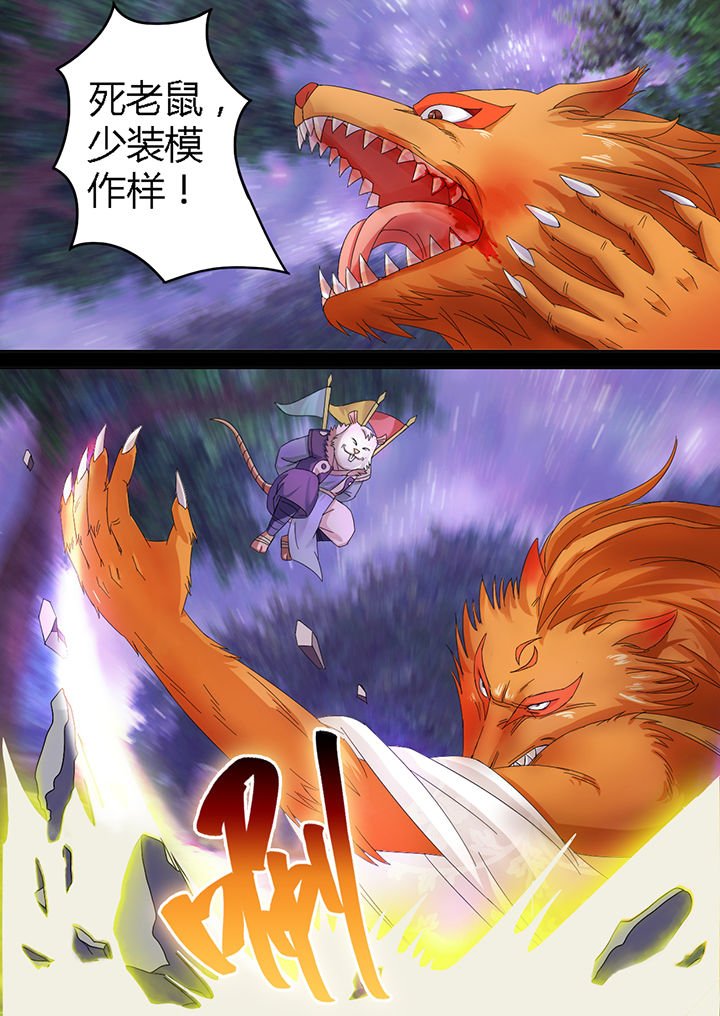 第11章：