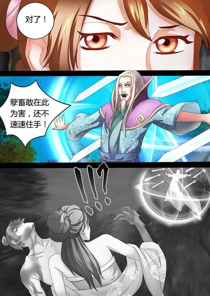第13章：
