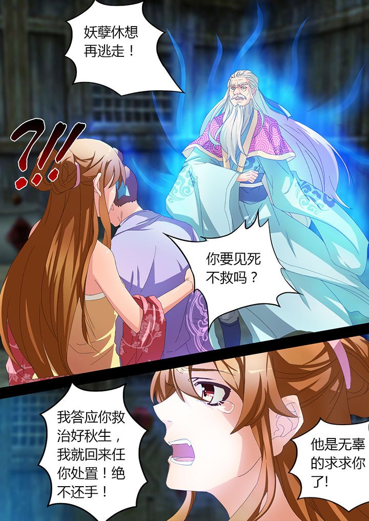 第15章：