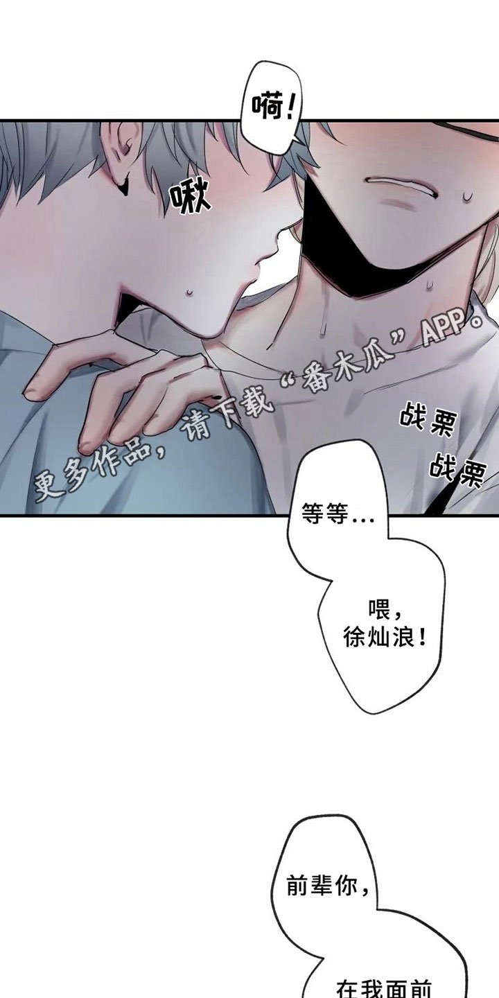 第6章：初识