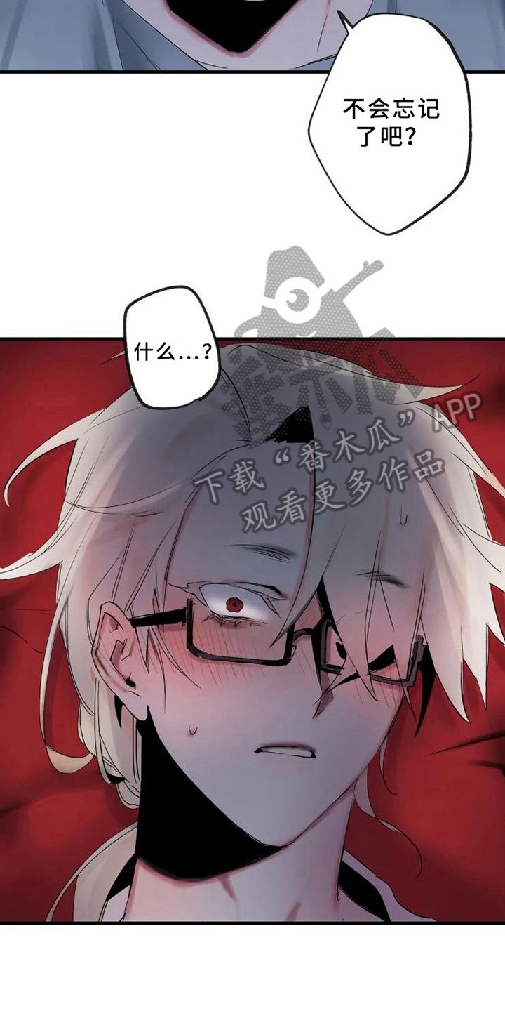 第6章：初识