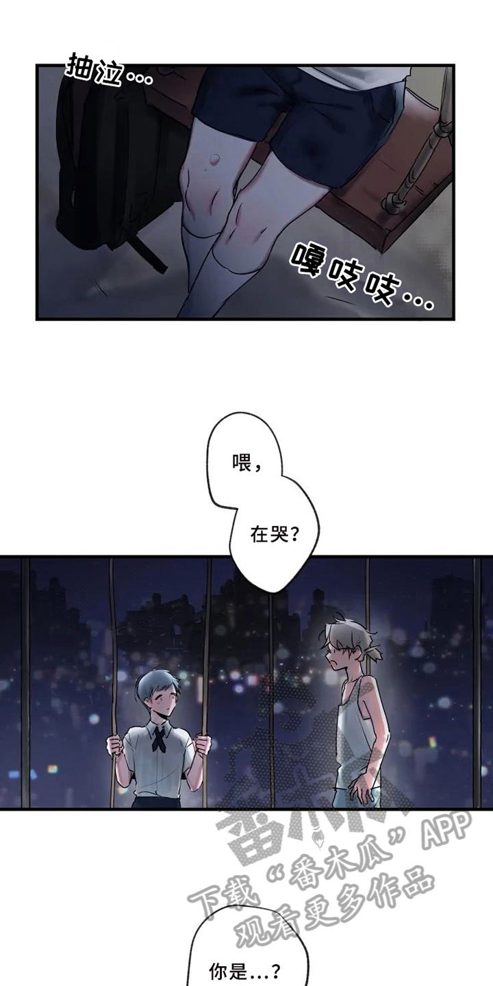 第6章：初识