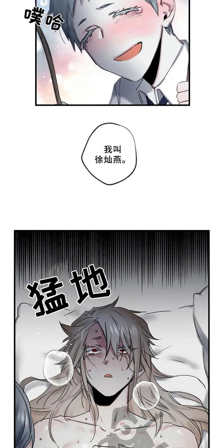 第6章：初识