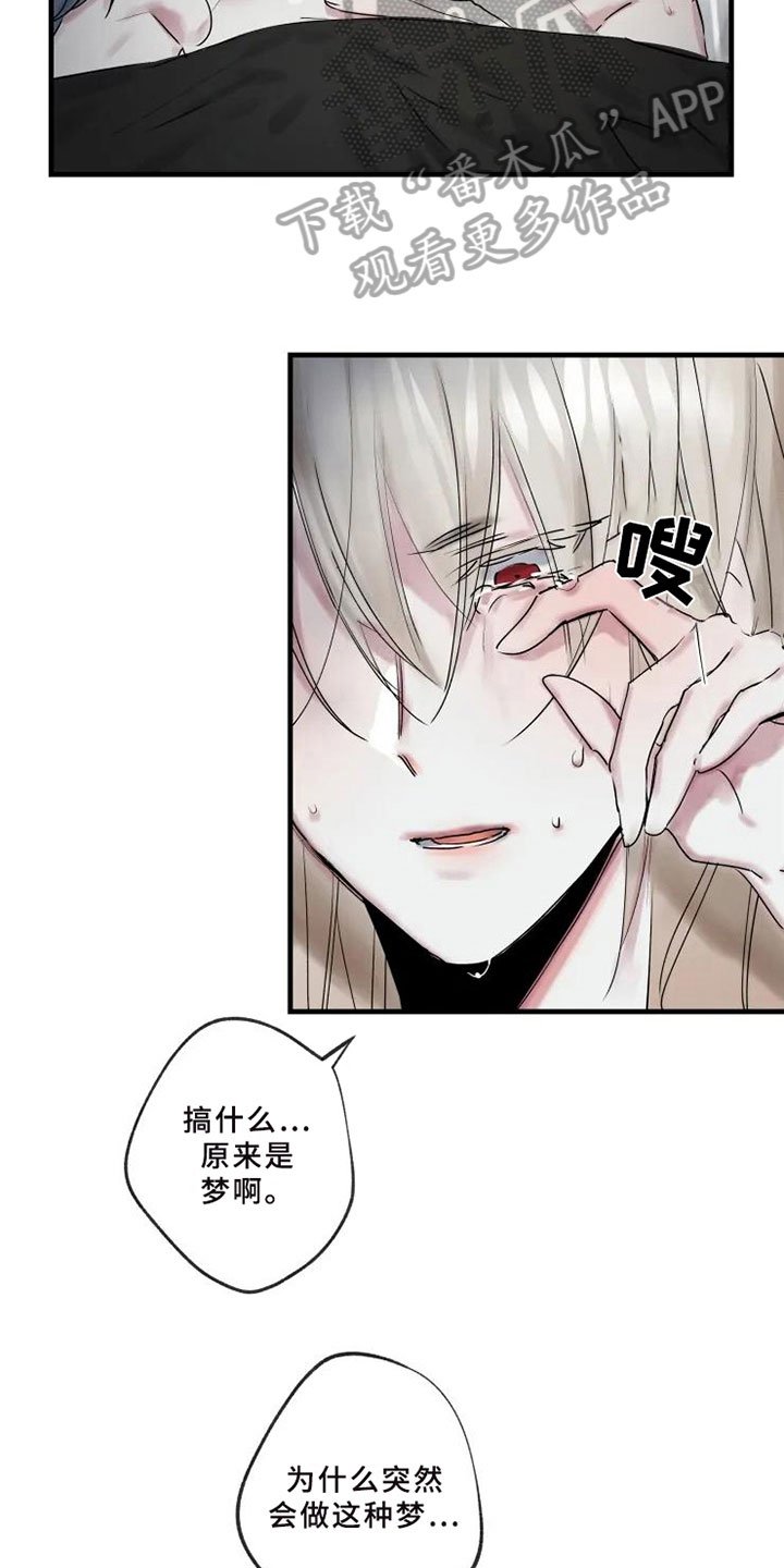 第6章：初识