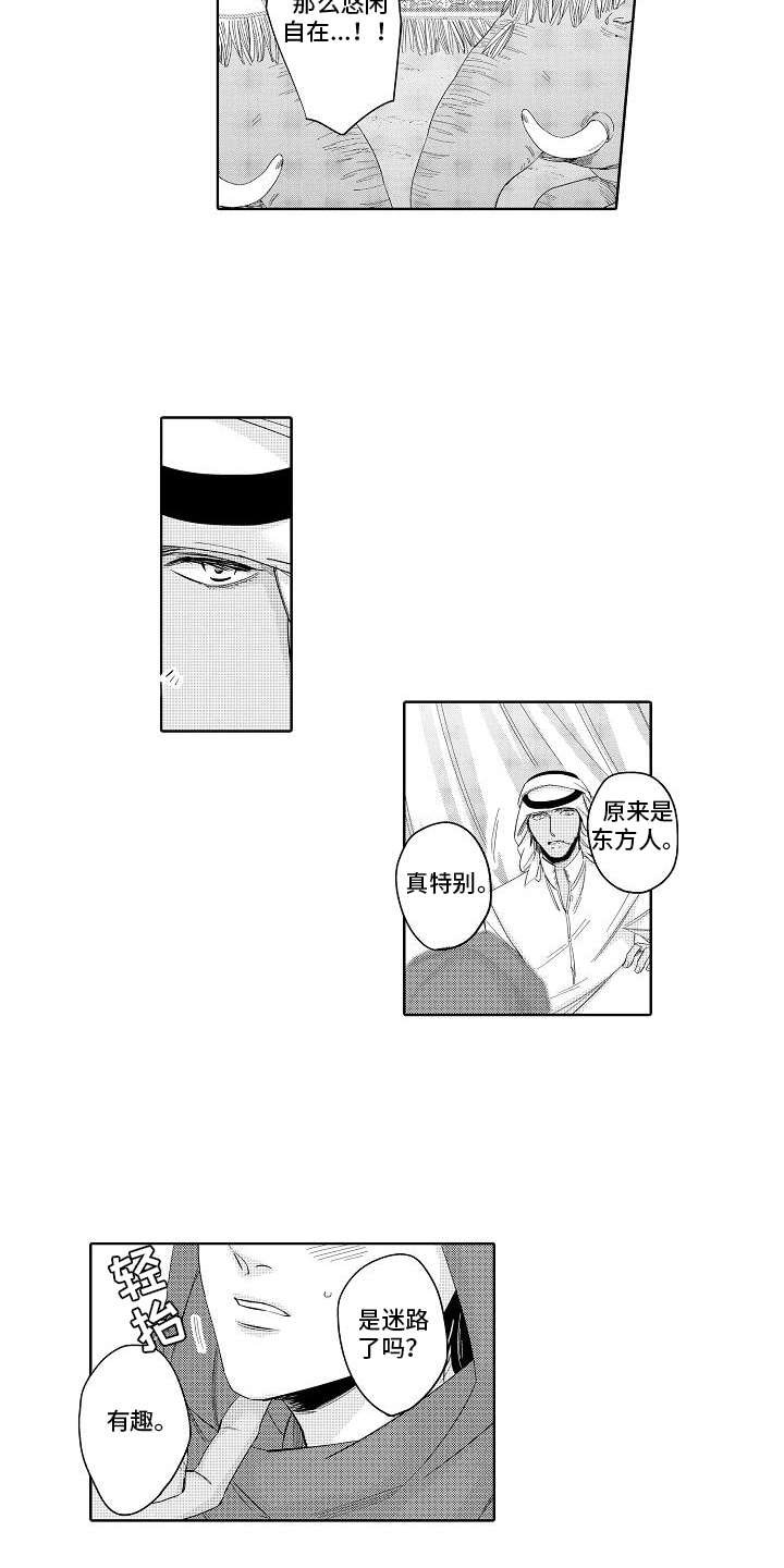 第12章：最强选手