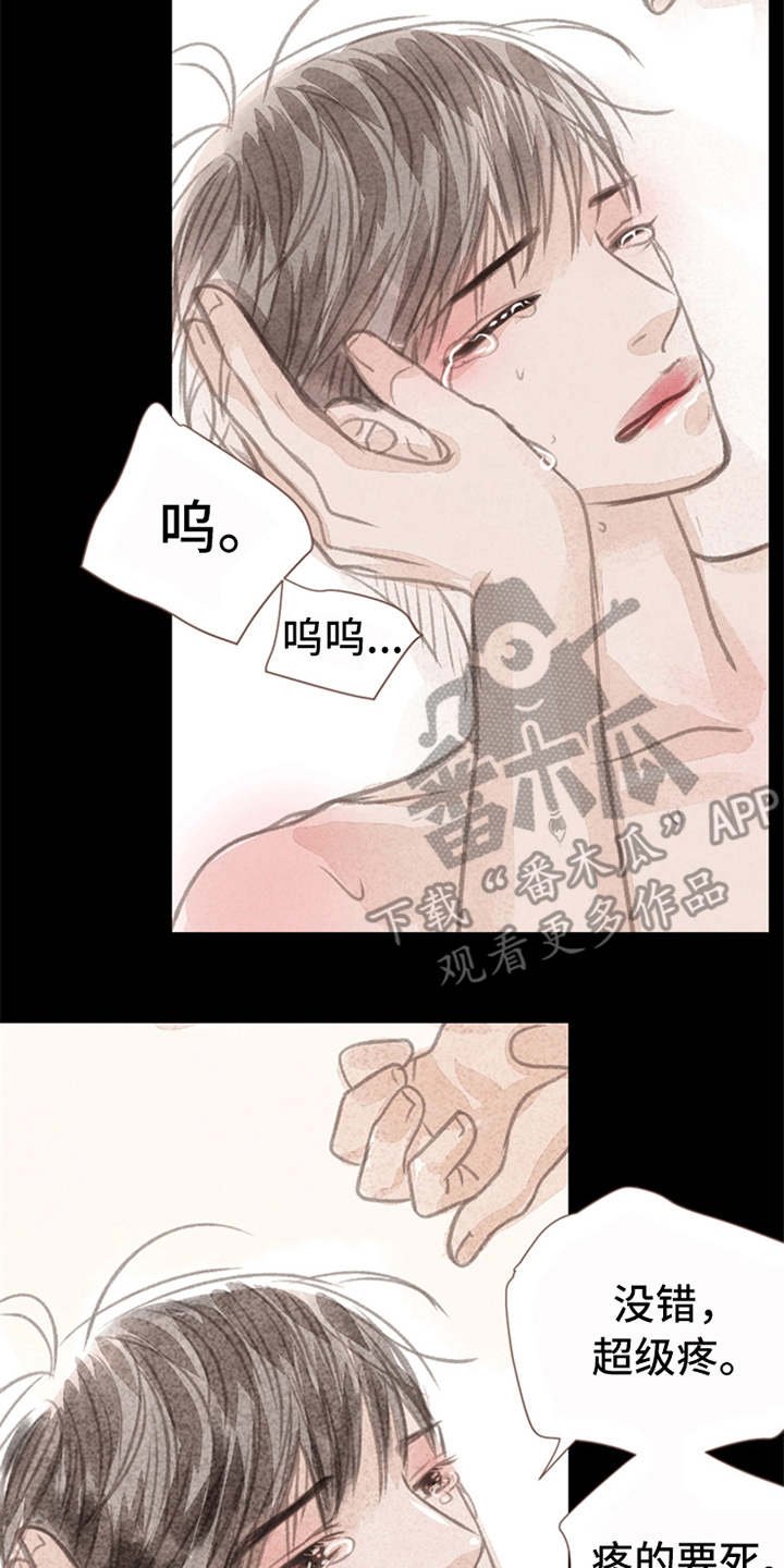 第7章：心意