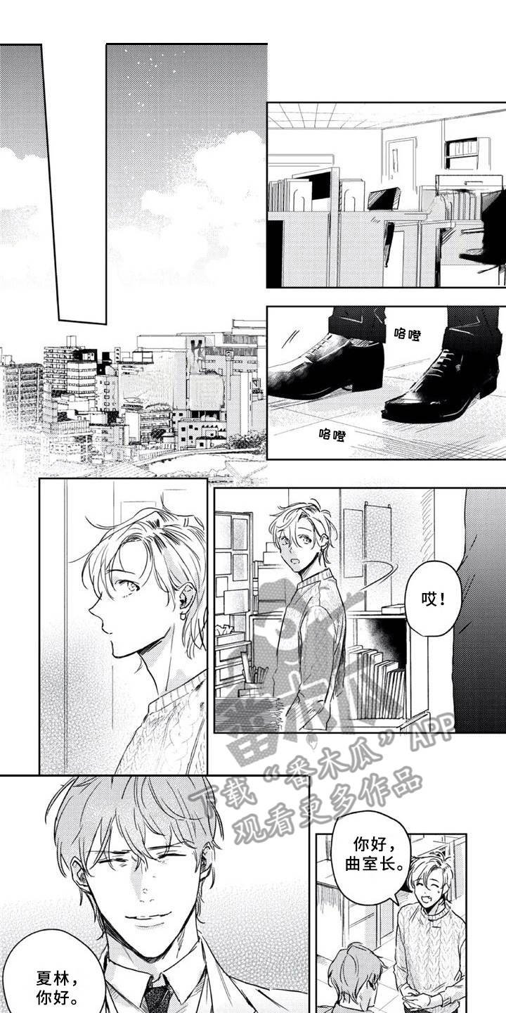 第11章：被利用