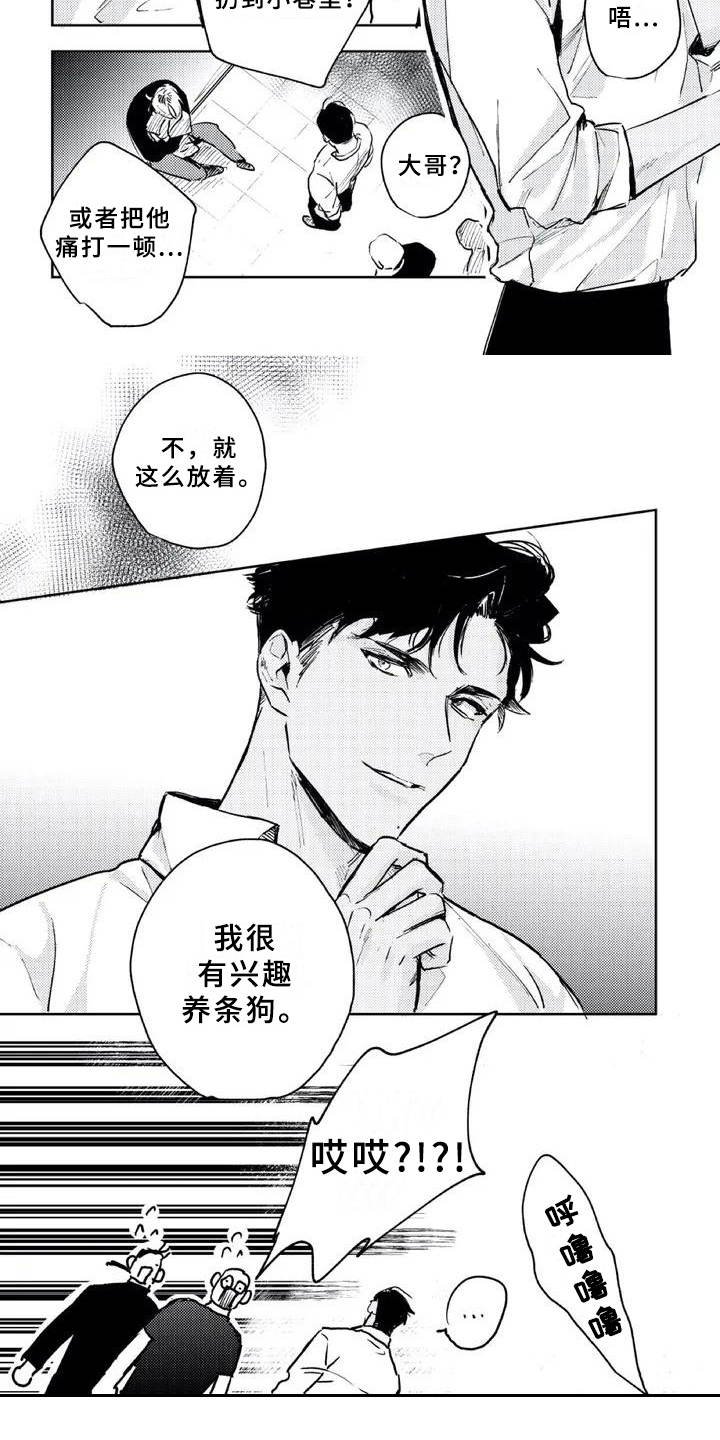 第3章：收留