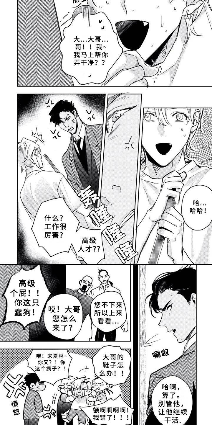 第4章：毛手毛脚