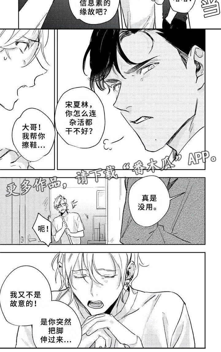 第4章：毛手毛脚