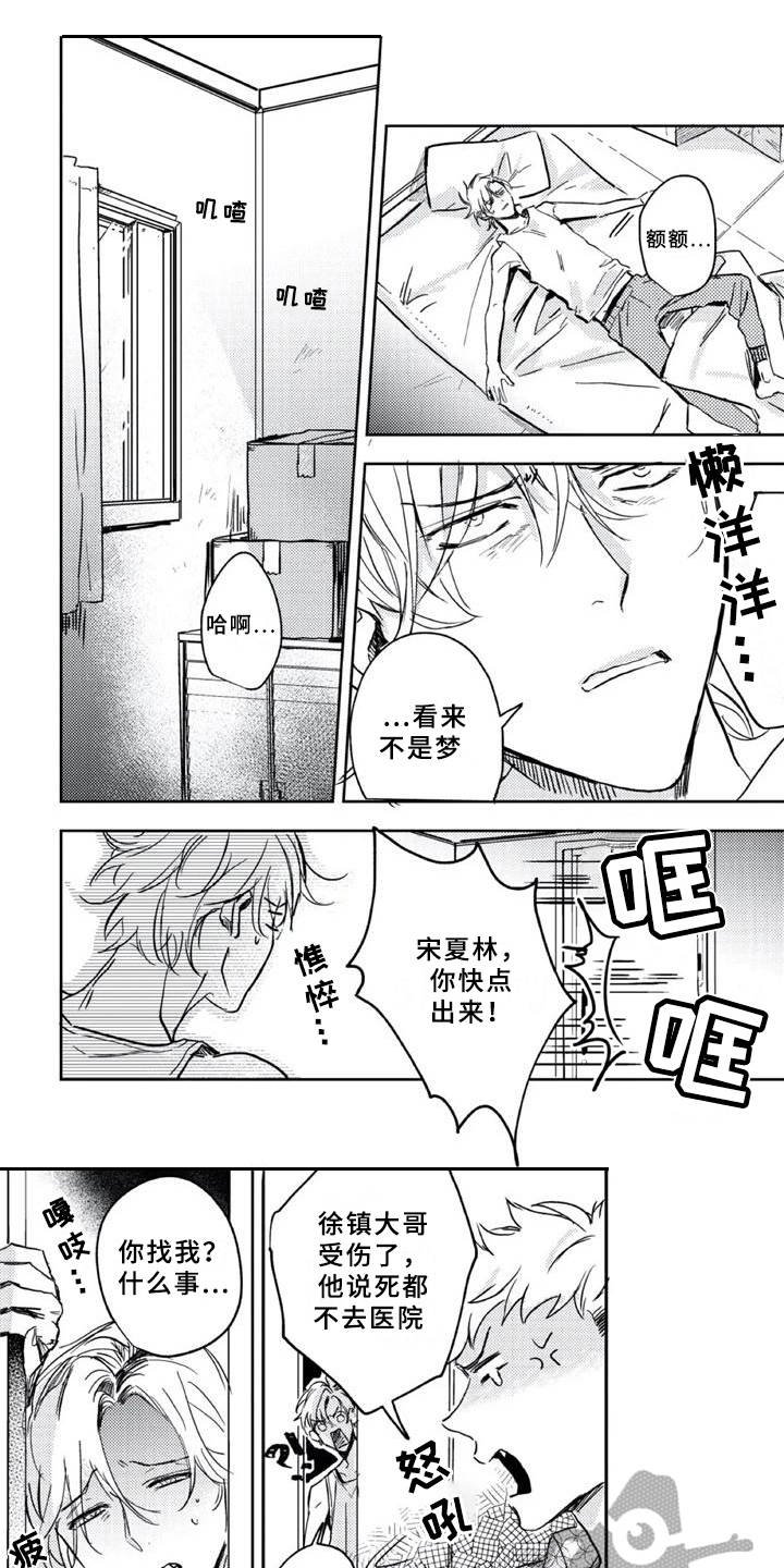 第6章：疗伤