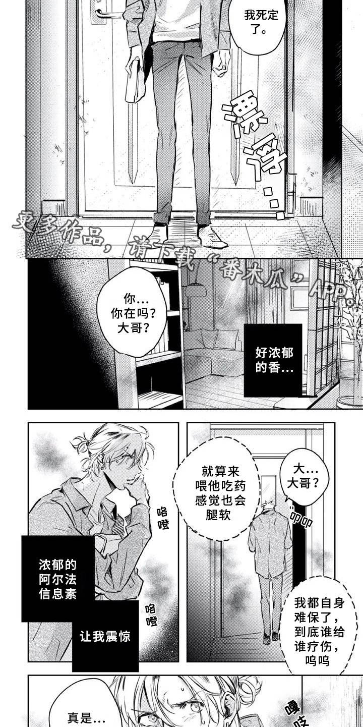 第6章：疗伤