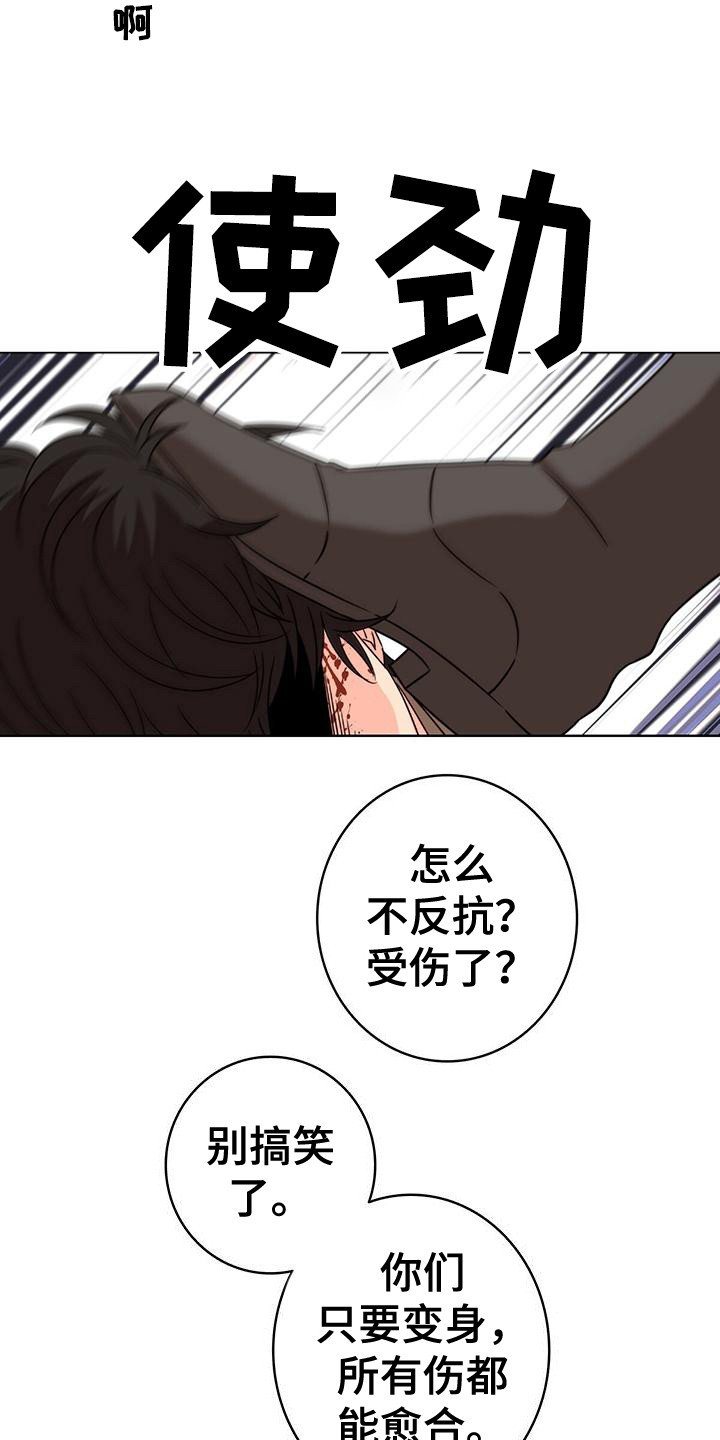 第1章：抓捕行动