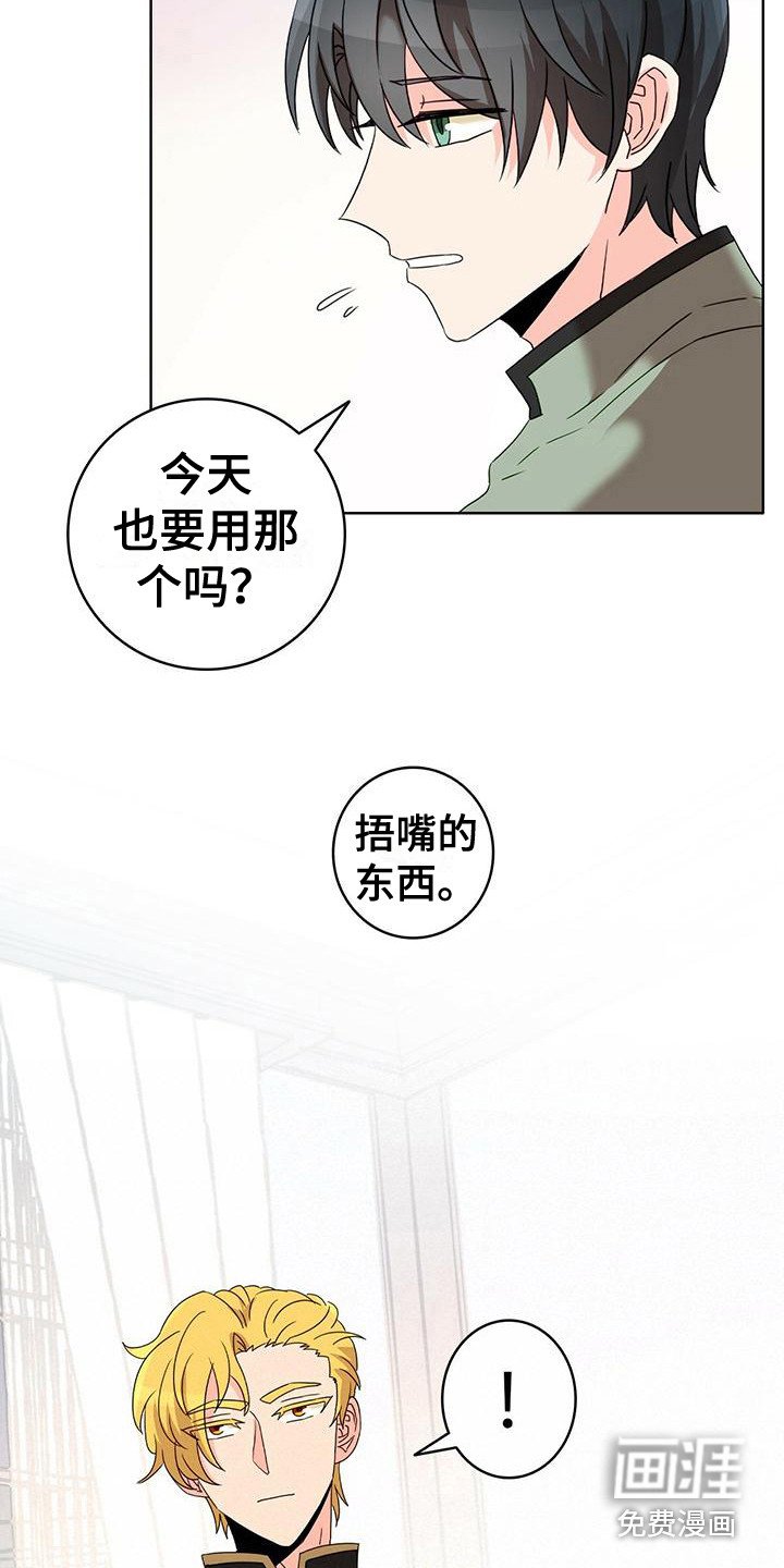 第11章：捉摸不透 