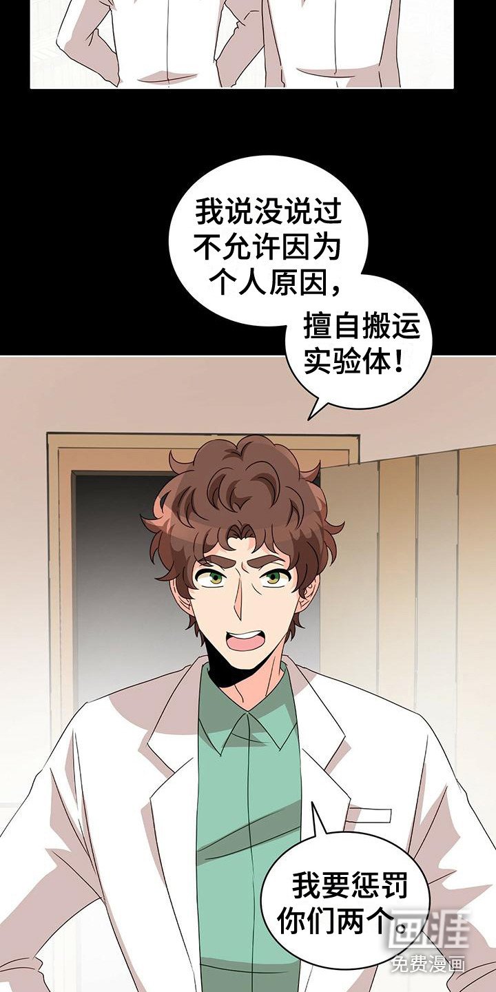 第13章：销毁