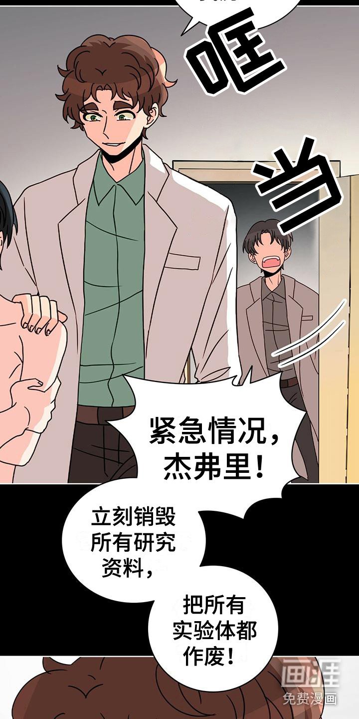 第13章：销毁