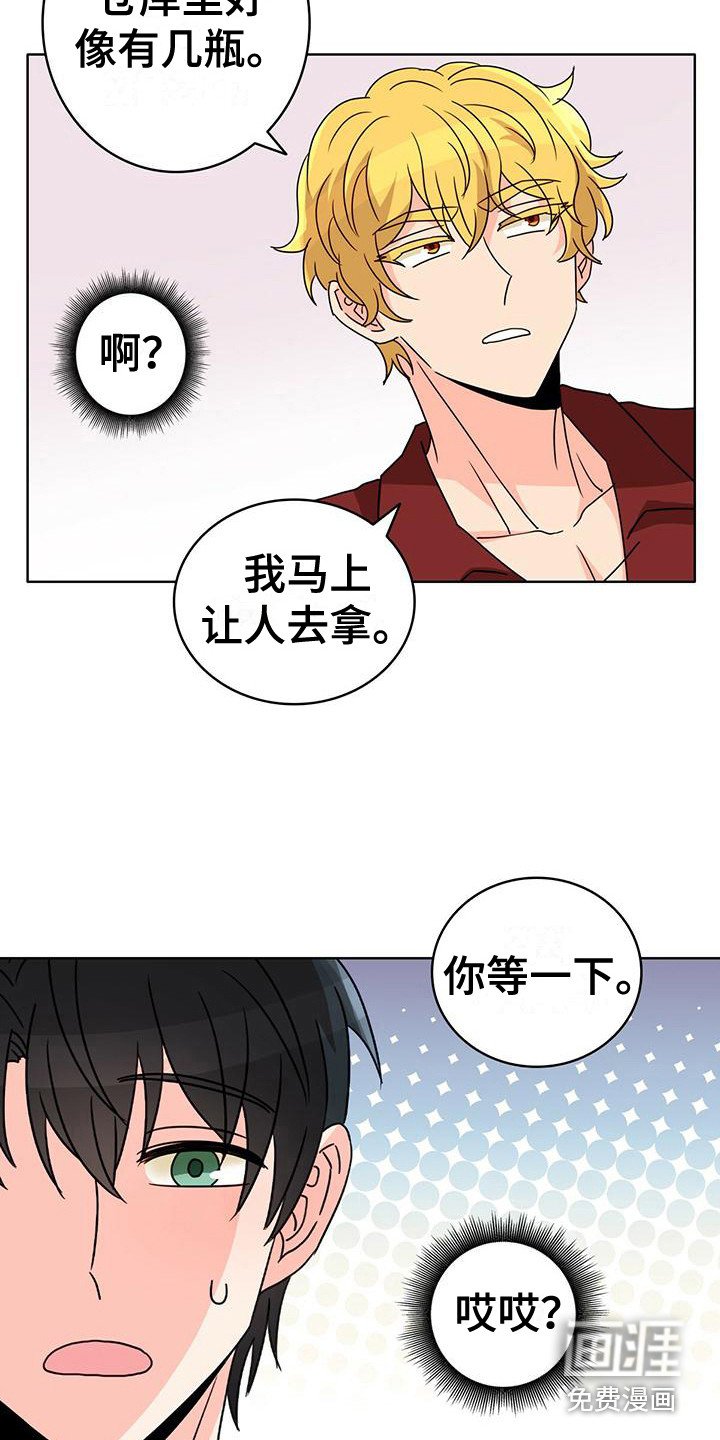 第17章：喝醉了