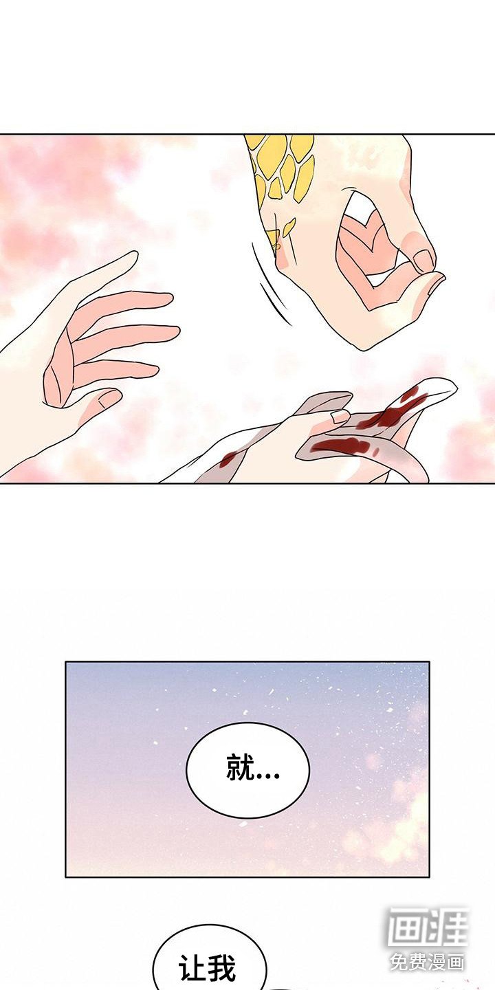 第21章：受伤了