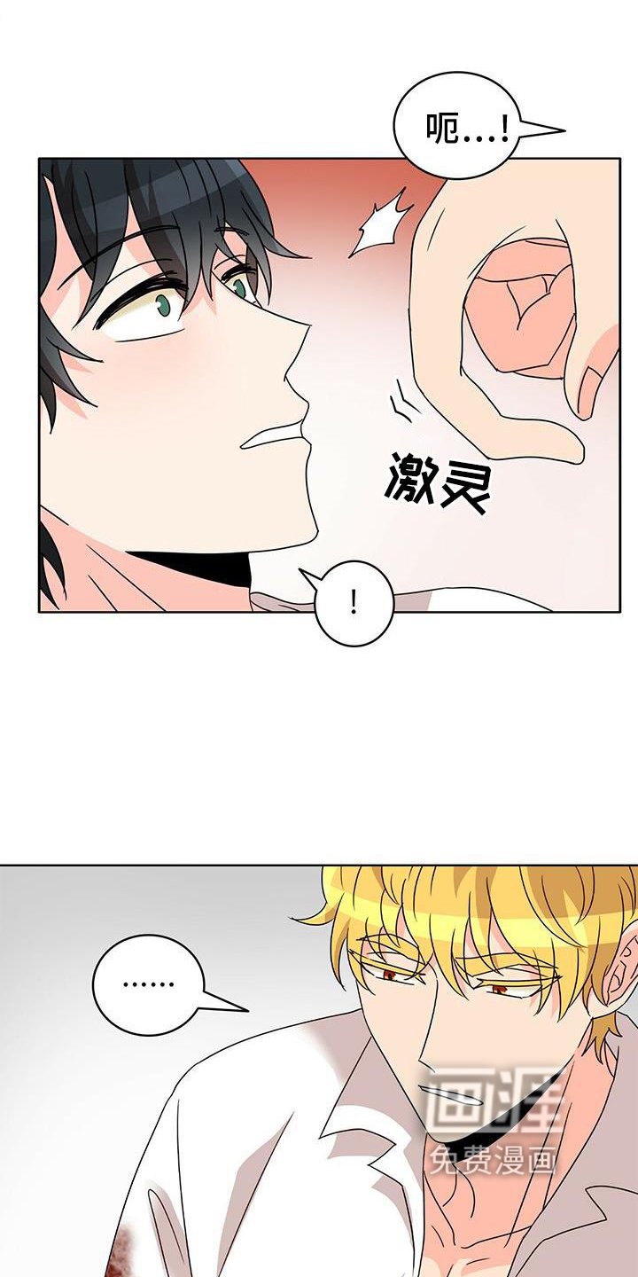 第23章：盘算