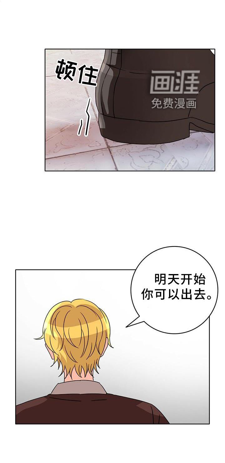 第23章：盘算
