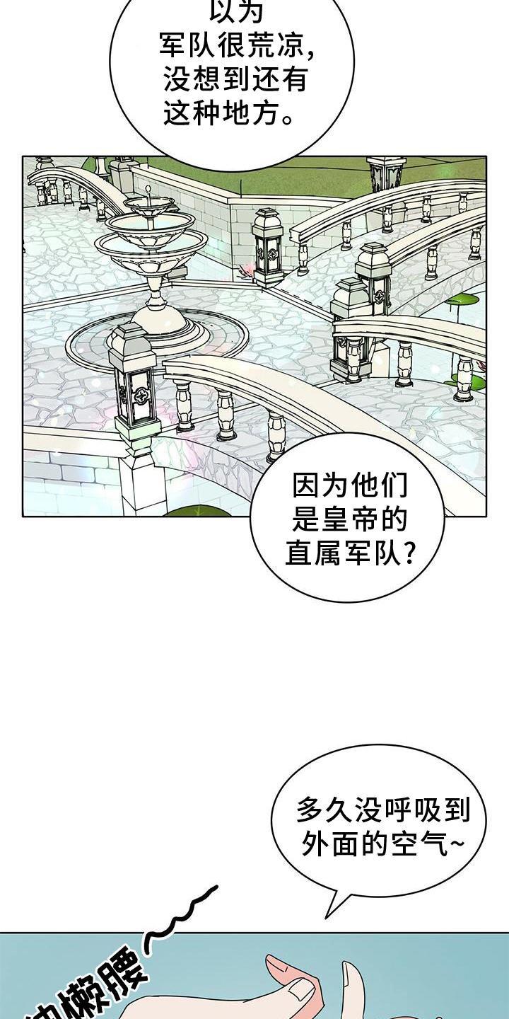 第23章：盘算