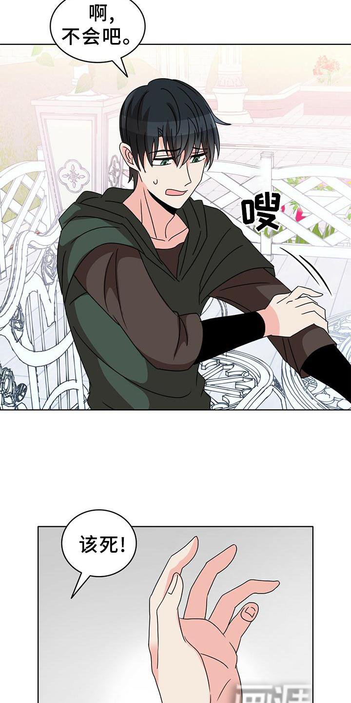 第23章：盘算