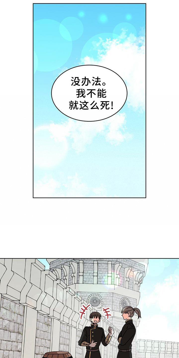 第23章：盘算