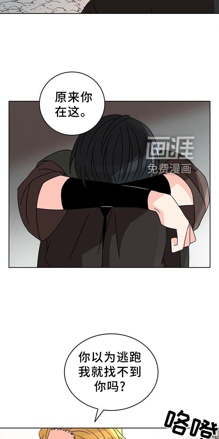 第24章：爱河