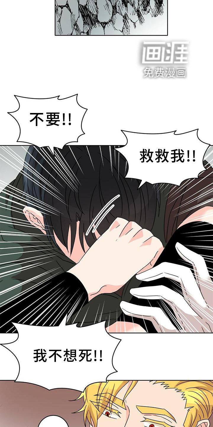 第24章：爱河