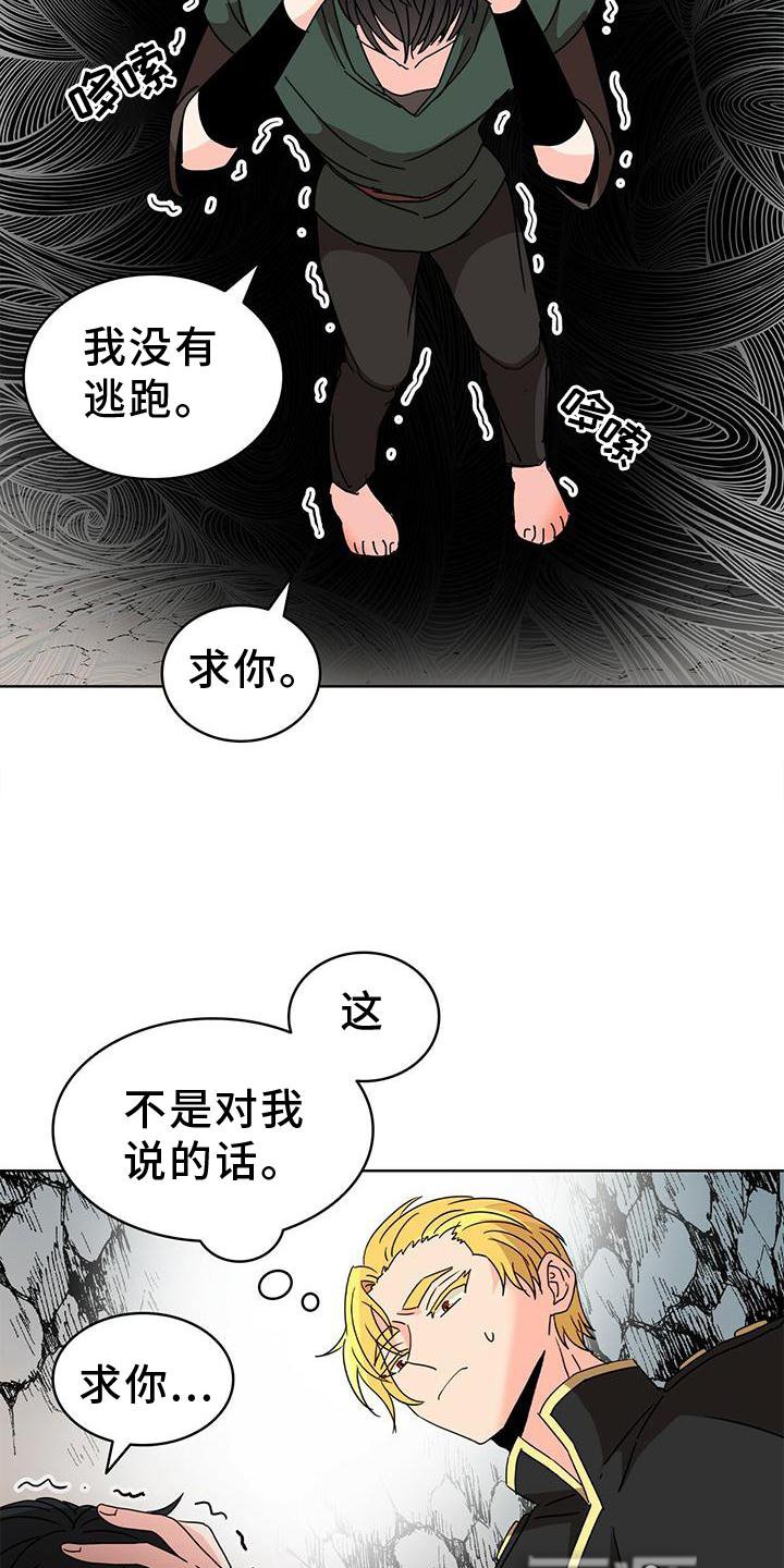 第24章：爱河