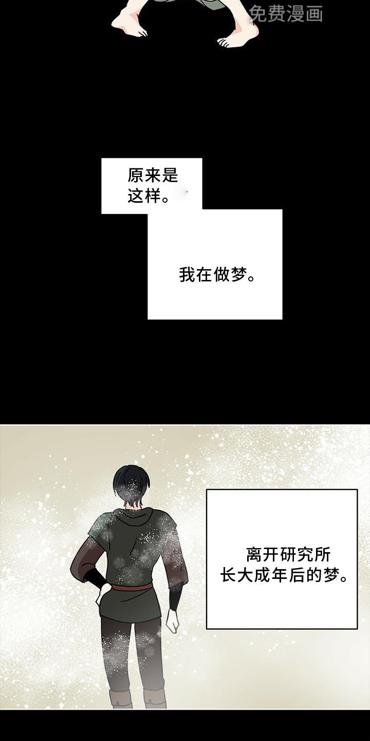 第25章：解释