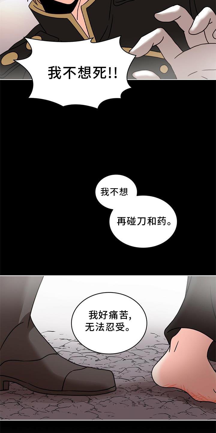 第25章：解释