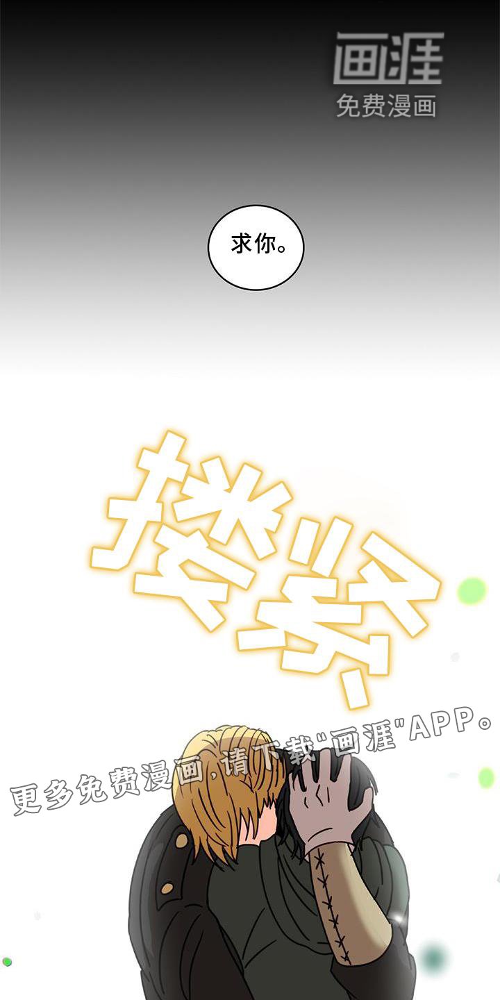第25章：解释