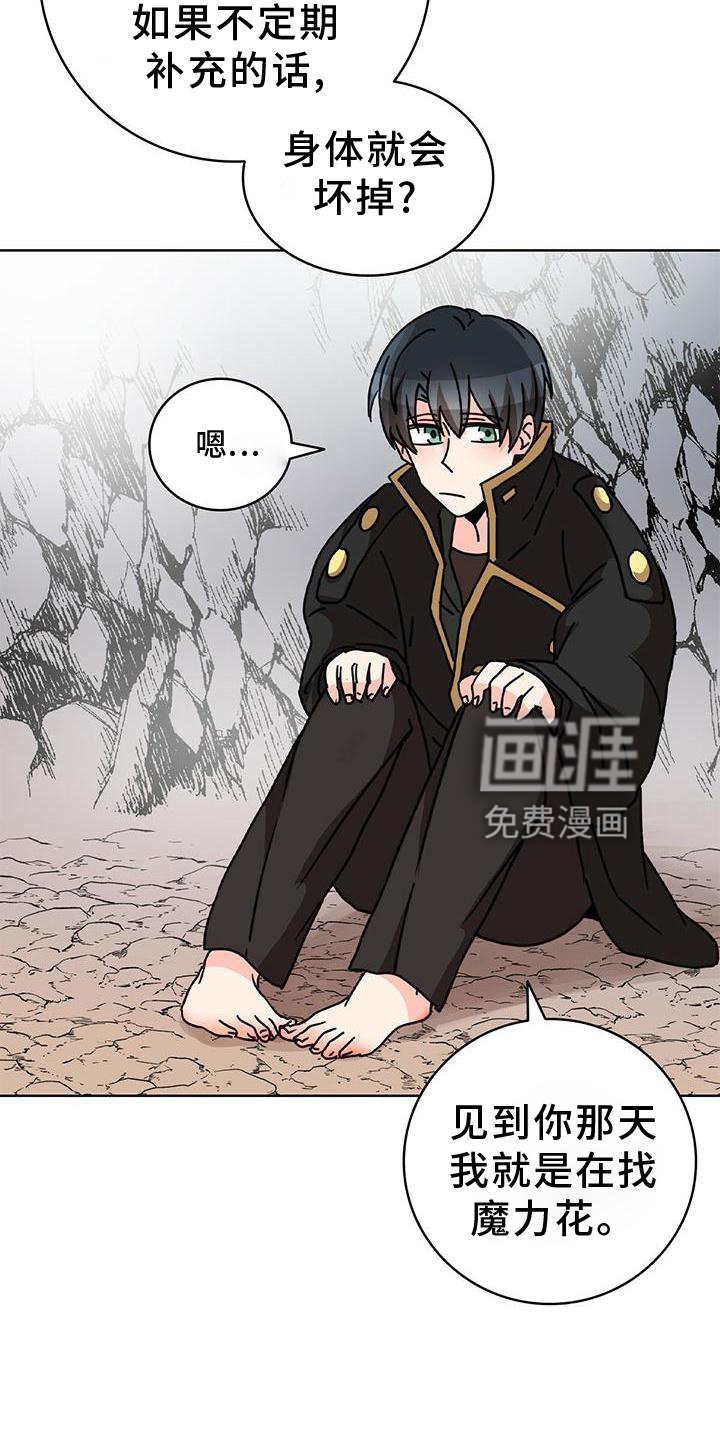 第25章：解释