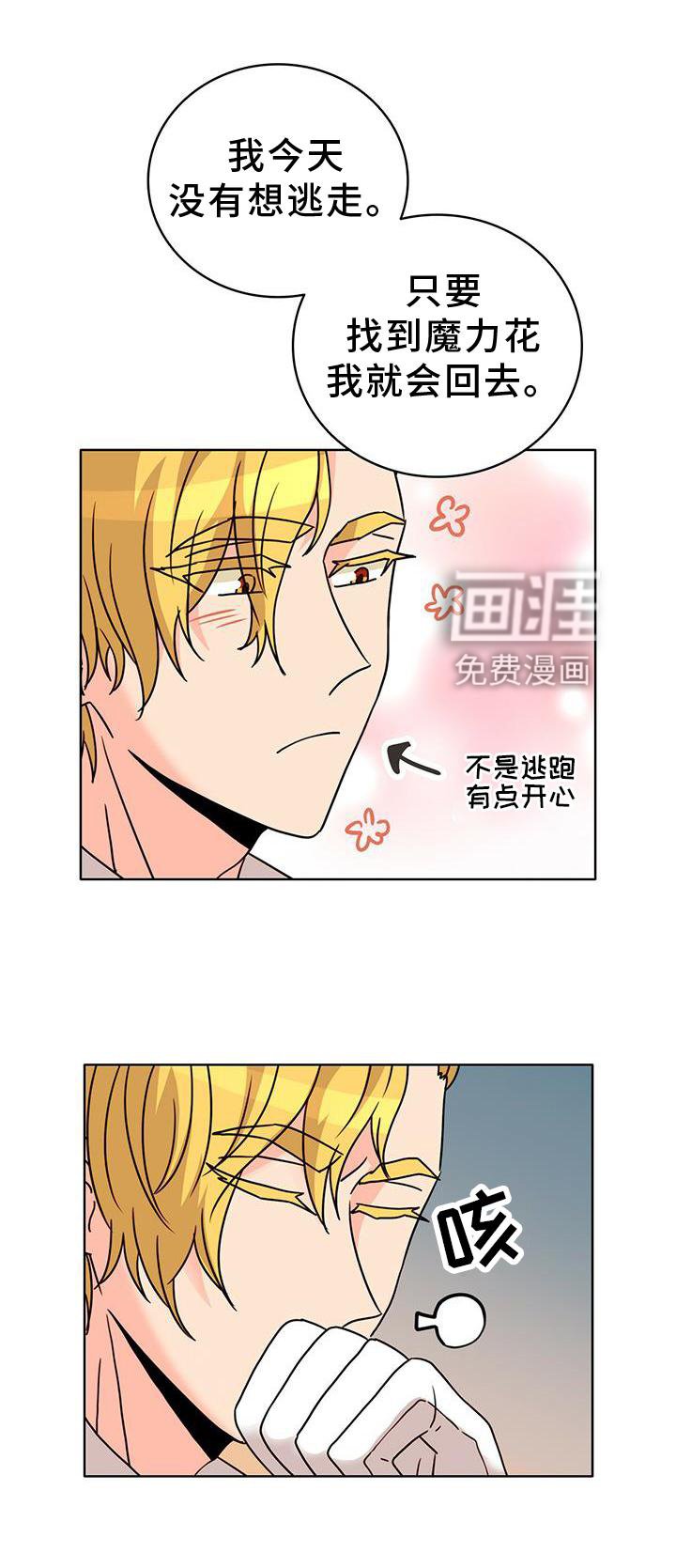 第25章：解释