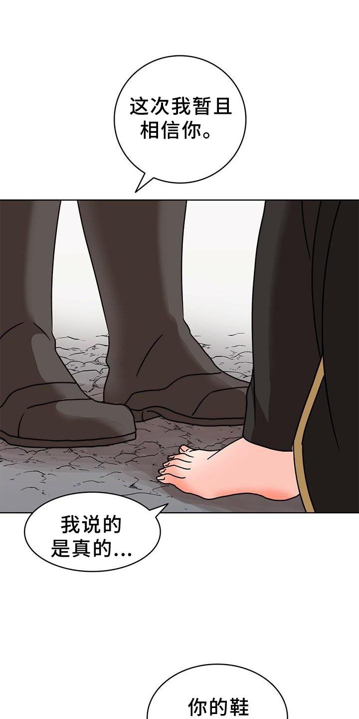 第25章：解释