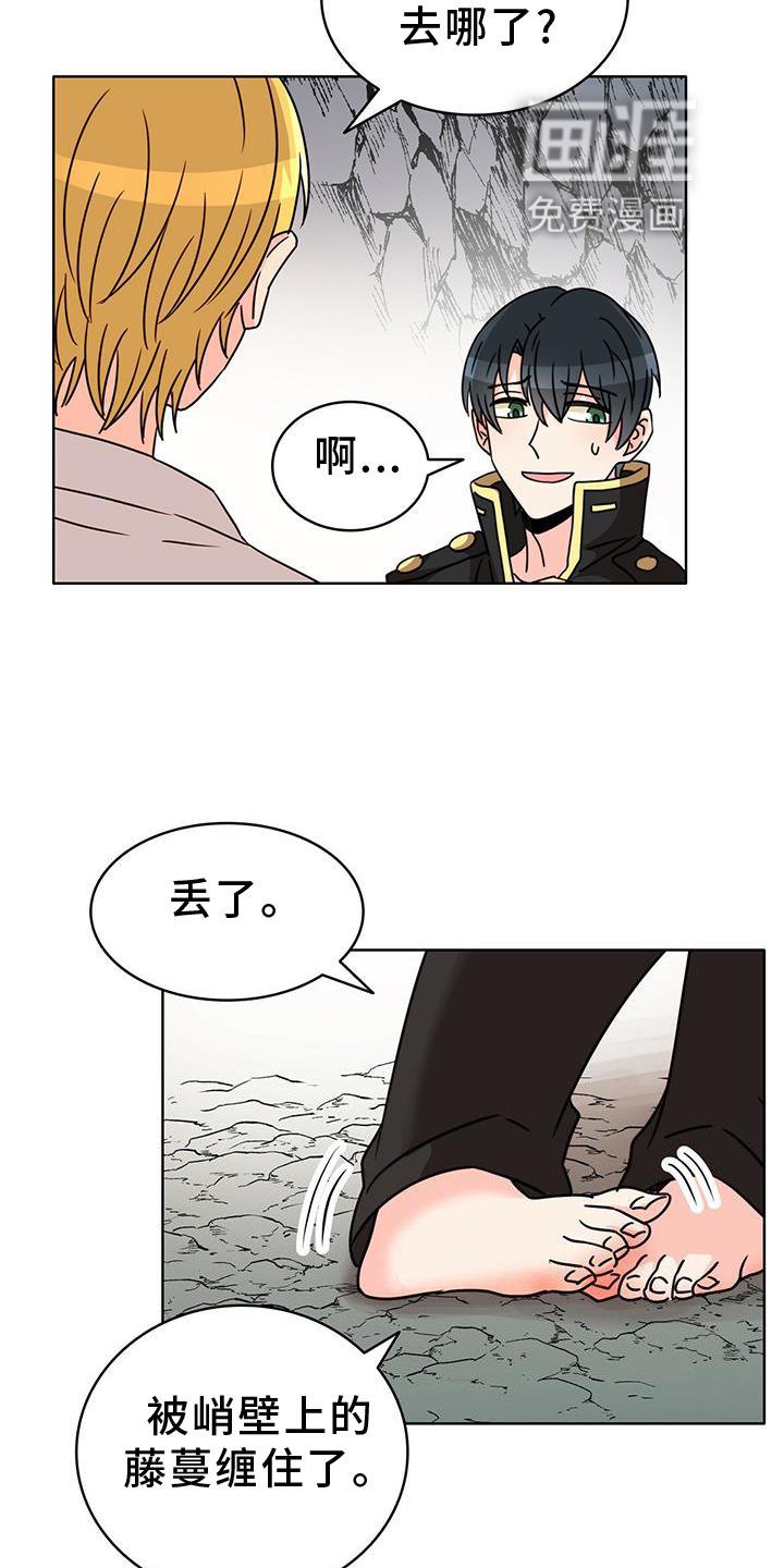 第25章：解释