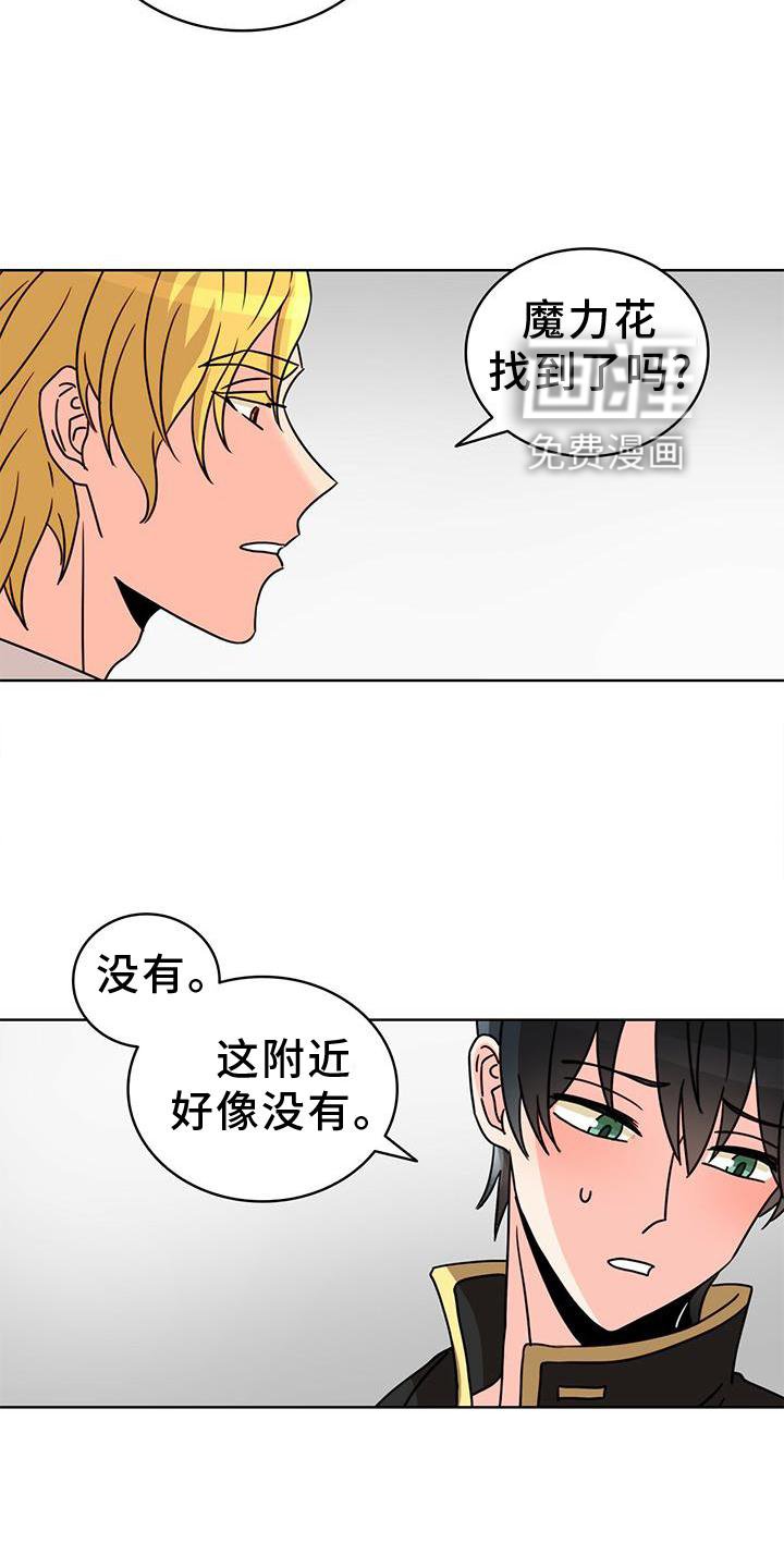 第25章：解释