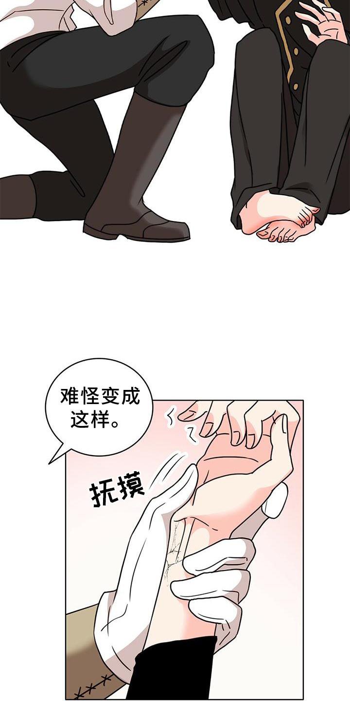 第25章：解释