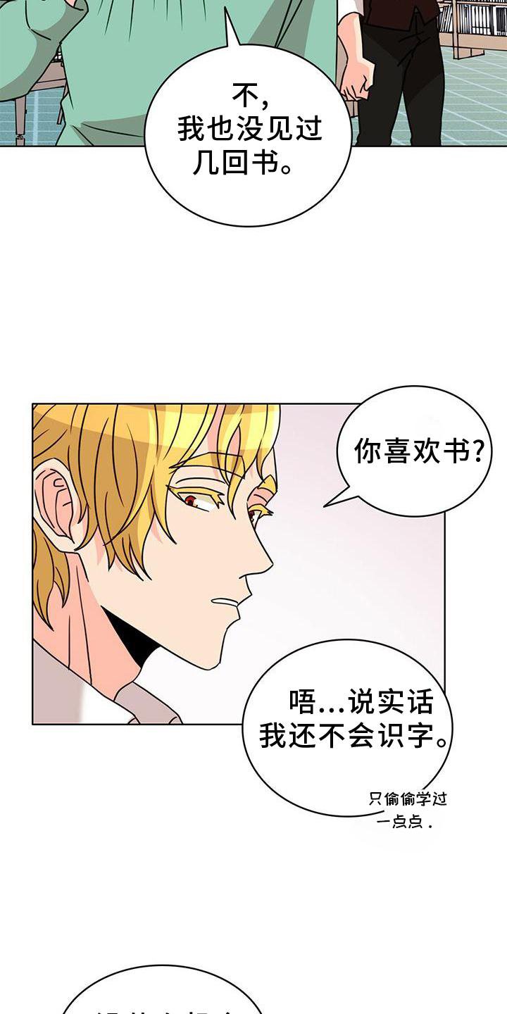第29章：看书