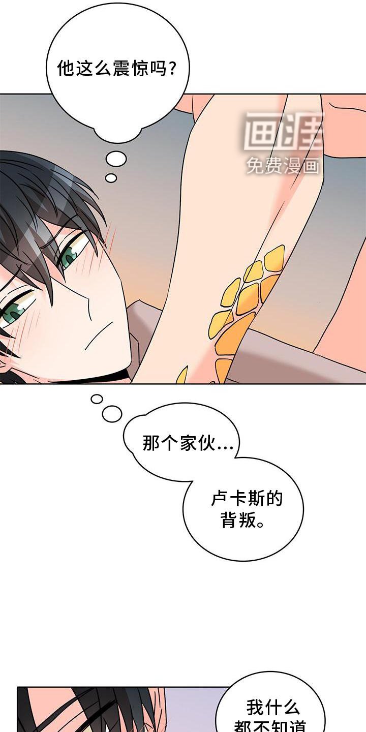 第36章：另一个秘密