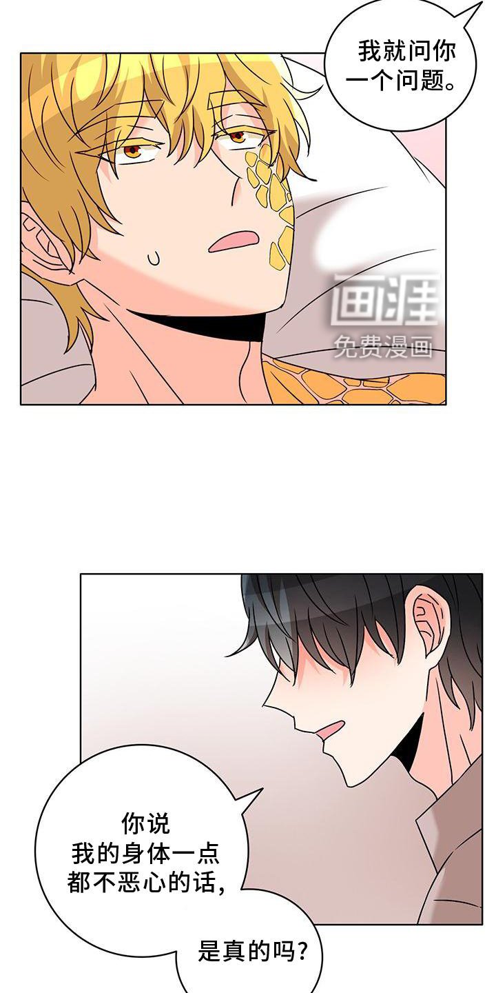 第36章：另一个秘密