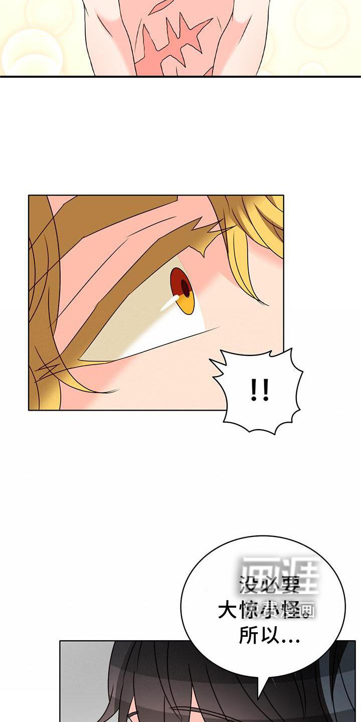 第37章：理由