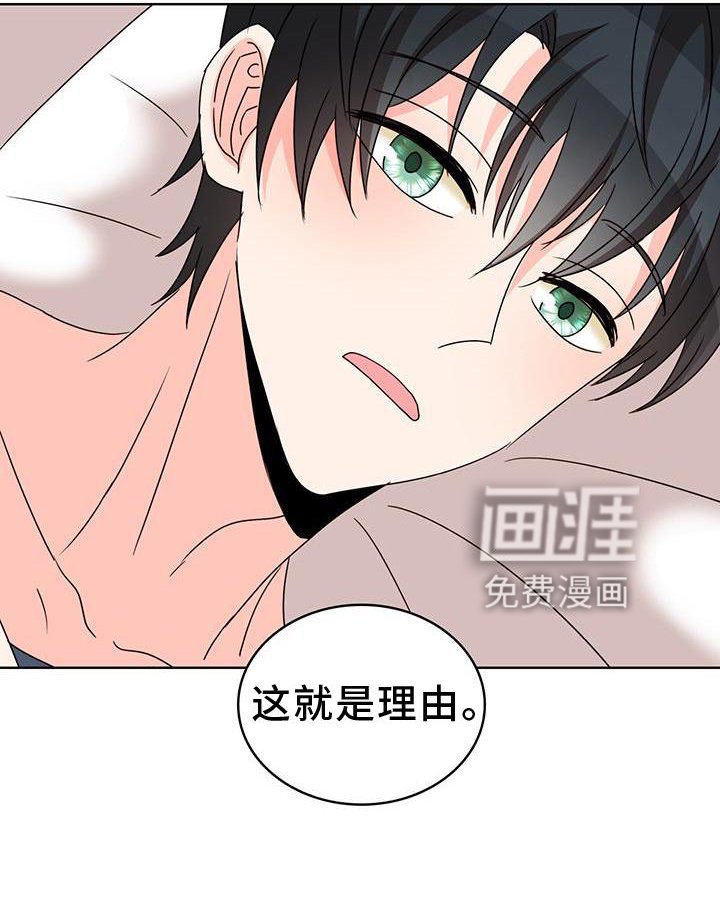 第37章：理由
