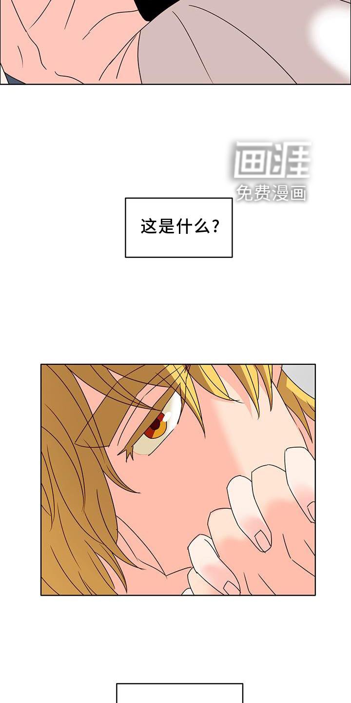 第38章：不正常