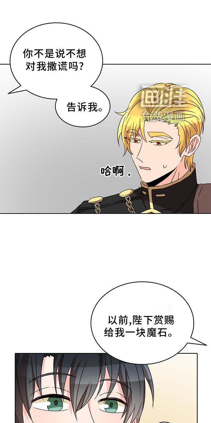 第39章：魔石